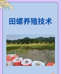 米兰花卉，养护要点，新手也能养好