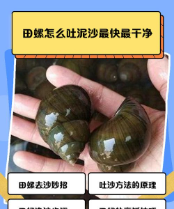 室内养殖田螺，掌握关键技巧，实现稳定产出