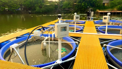 新型水产养殖设备，提升养殖效率，降低人工成本