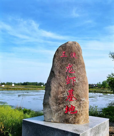 邵阳龙虾养殖基地，选址要点，管理技巧