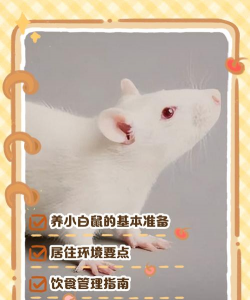 水宝宝养花的好处，提升观赏性，改善家居氛围