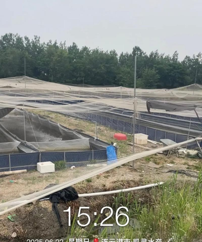 水宝宝养花的好处，提升观赏性，改善家居氛围