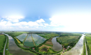 水宝宝养花的好处，提升观赏性，改善家居氛围