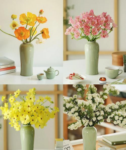 水宝宝养花的好处，提升观赏性，改善家居氛围