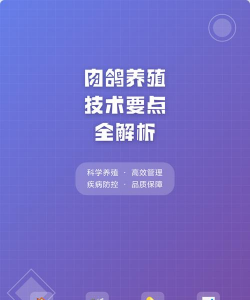 水养花花瓶，挑选合适款式，搭配植物更美观