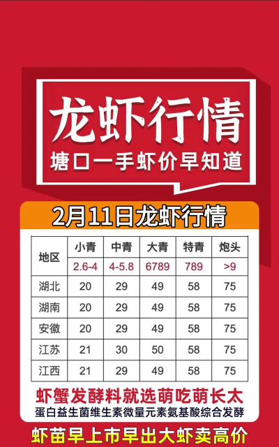 水宝宝养花的好处，提升观赏性，改善家居氛围