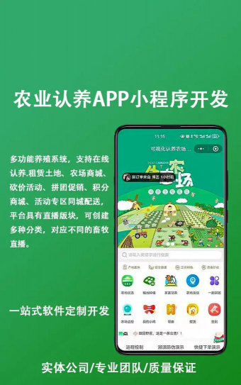 水养花花瓶，挑选合适款式，搭配植物更美观