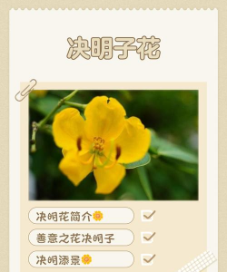 超轻粘土花卉，轻松上手，创意无限