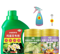 超轻粘土花卉，轻松上手，创意无限