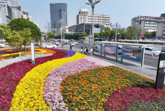 绿化带花卉,选对品种,轻松打造美丽街景 绿化带花卉,选对品种,轻松打造美丽街景