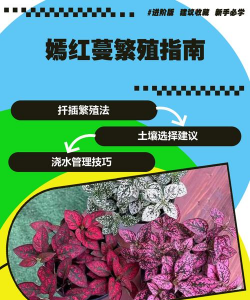 养花不好的人煞气多，养花常见问题，如何化解煞气