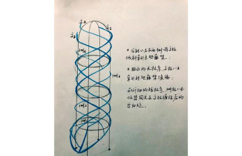 藤本月季如何修剪