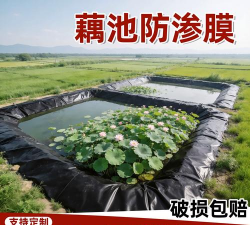 室内花卉装饰，提升居家氛围，打造自然空间