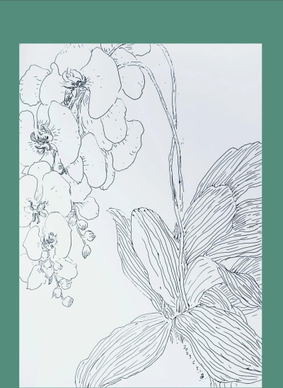 室内花卉装饰，提升居家氛围，打造自然空间