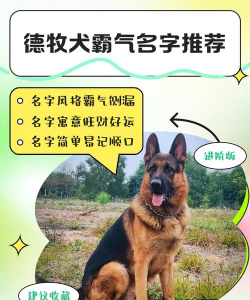 青鱼养殖，掌握关键技巧，提升养殖效益