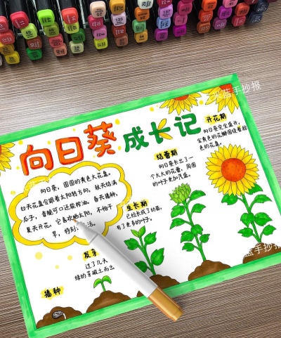 青鱼养殖，掌握关键技巧，提升养殖效益