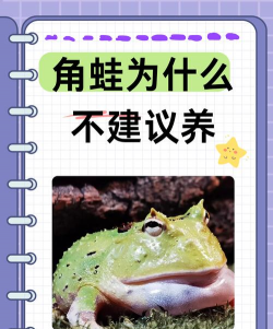 蟹的养殖，技术要点，常见问题