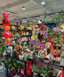 蟹的养殖，技术要点，常见问题