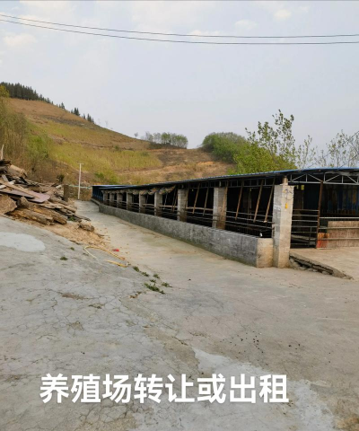 农广天地全部养殖视频,哪里找最全,怎么看最方便 农广天地全部养殖视频,哪里找最全,怎么看最方便