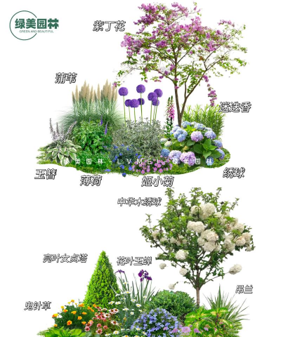 家里阳光不足怎么养花，选对植物种类，掌握养护技巧