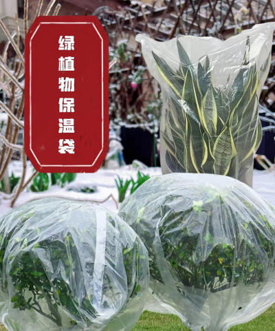 养花套袋,保湿保温,提高成活率 养花套袋,保湿保温,提高成活率