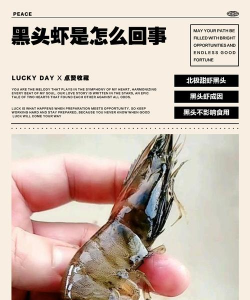 家里阳光不足怎么养花，选对植物种类，掌握养护技巧