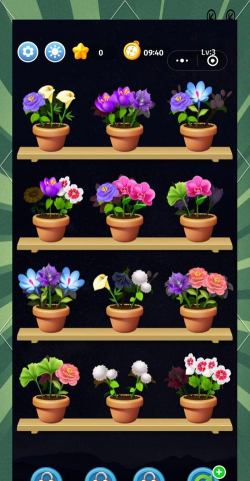 家里阳光不足怎么养花，选对植物种类，掌握养护技巧