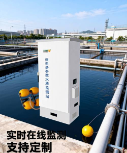 家里阳光不足怎么养花，选对植物种类，掌握养护技巧