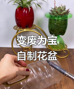 芝麻酱养花,废物利用,省钱又环保 芝麻酱养花,废物利用,省钱又环保