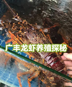 养花不好的人煞气多，养花常见问题，如何化解煞气