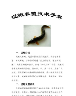 养花不好的人煞气多，养花常见问题，如何化解煞气