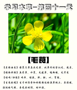 养花不好的人煞气多，养花常见问题，如何化解煞气