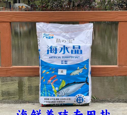 养花不好的人煞气多，养花常见问题，如何化解煞气