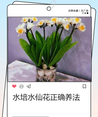 养花不好的人煞气多，养花常见问题，如何化解煞气