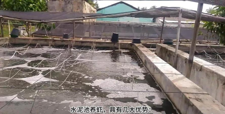 养花不好的人煞气多，养花常见问题，如何化解煞气