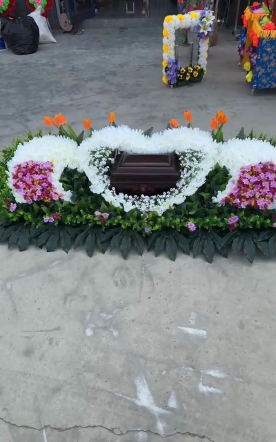 懒人养花神器，轻松打理花草，告别繁琐养护