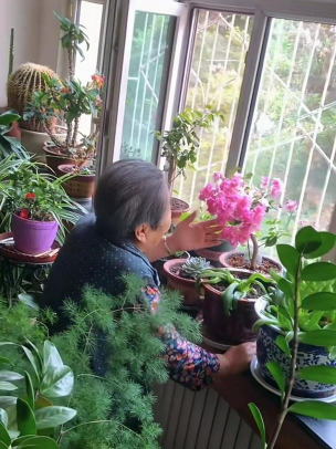 养花人社区，交流种植经验，分享养花乐趣