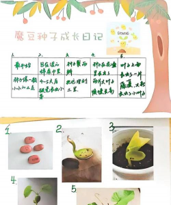 青鱼养殖，掌握关键技巧，提升养殖效益