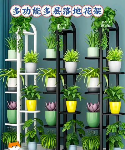 青鱼养殖，掌握关键技巧，提升养殖效益