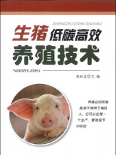 青鱼养殖，掌握关键技巧，提升养殖效益