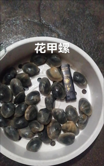 青鱼养殖，掌握关键技巧，提升养殖效益
