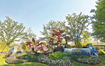 鸡蛋养殖，提升产量，确保品质