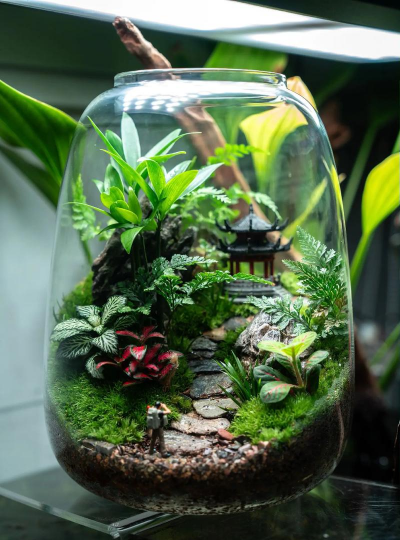 家里阳光不足怎么养花，选对植物种类，掌握养护技巧