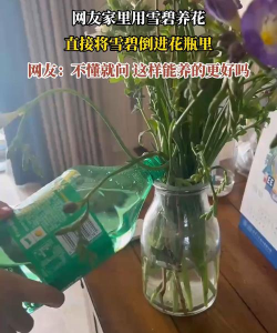 养花加雪碧，真的有用吗，别急着倒