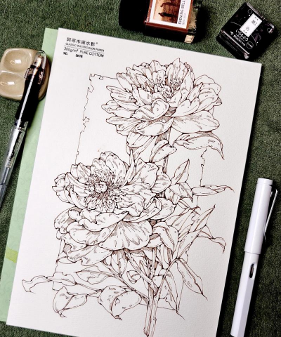 水彩花卉线稿,轻松上手技巧,画出灵动花朵 水彩花卉线稿,轻松上手技巧,画出灵动花朵