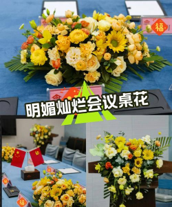 鸡蛋养殖，提升产量，确保品质