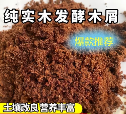 水宝宝养花的好处，提升观赏性，改善家居氛围