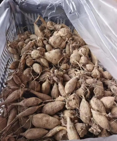 小众送妈妈的花有哪些花