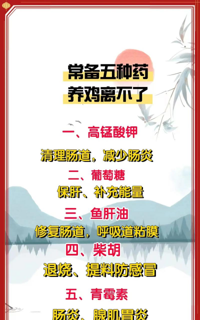 水养花花瓶，挑选合适款式，搭配植物更美观