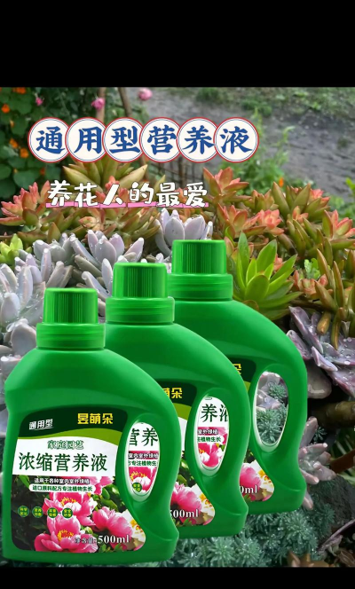 养花不好的人煞气多，养花常见问题，如何化解煞气